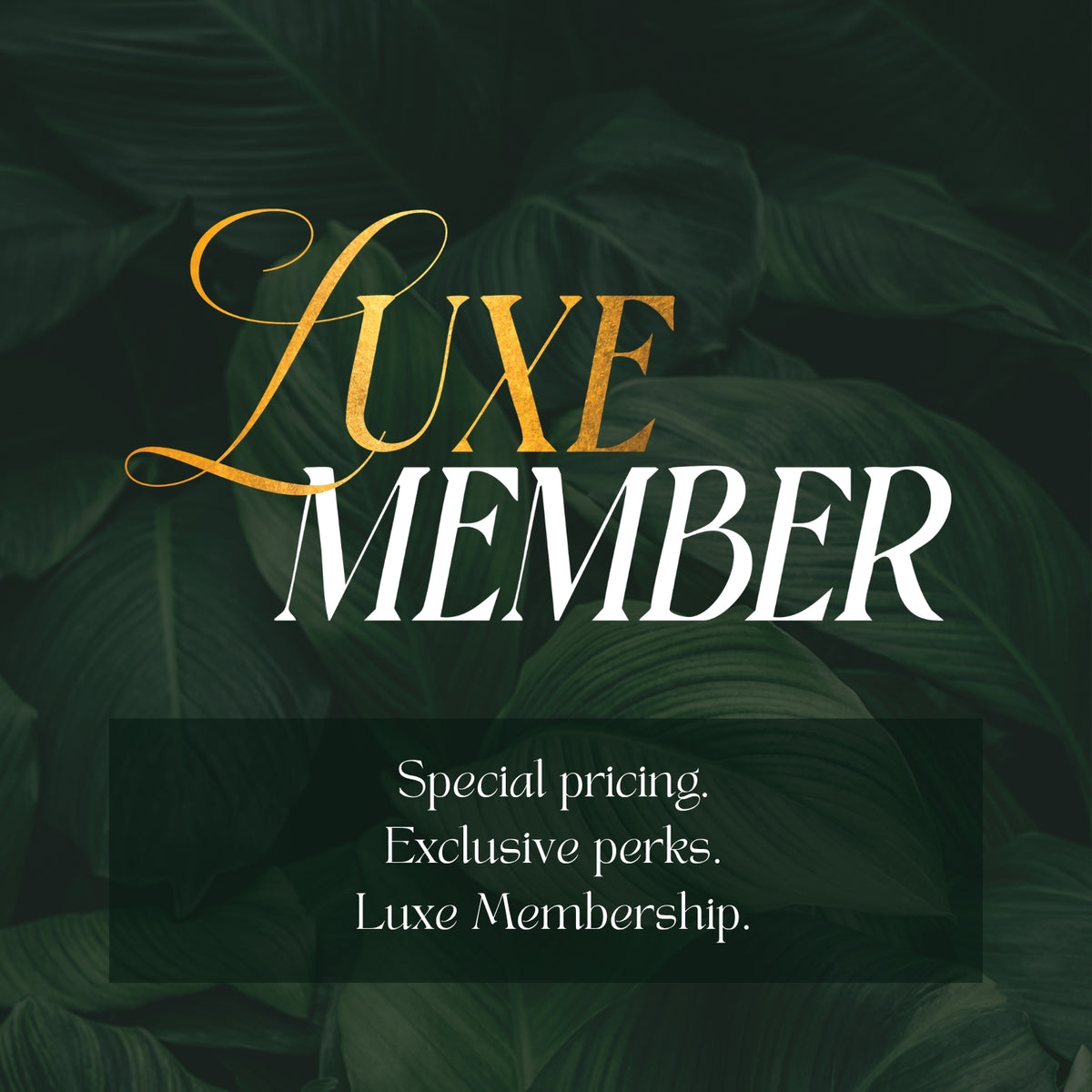 Luxe Member: special pricing, exclusive perks, Luxe Membership